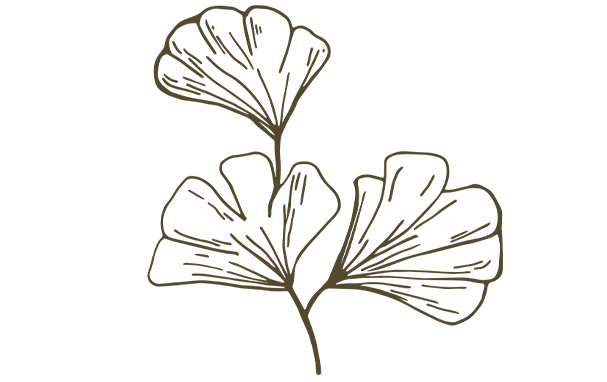 Pflanze Icon